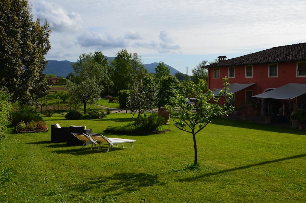 Agriturismo Al Podere Di Rosa Лукка Екстер'єр фото