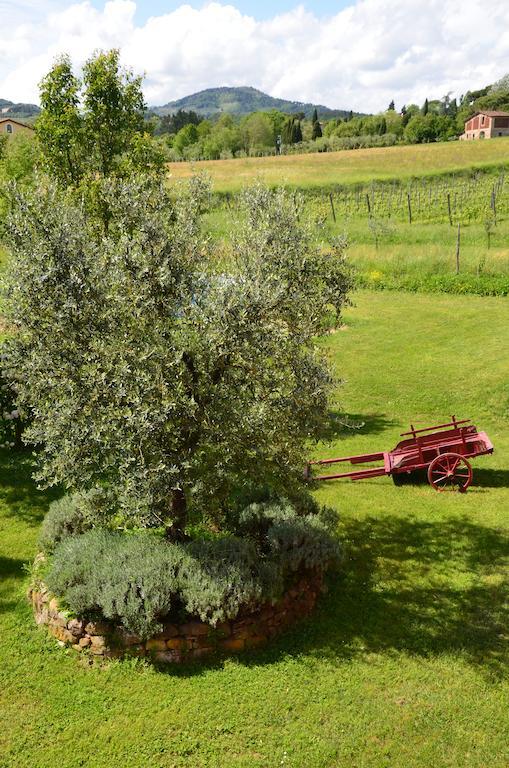 Agriturismo Al Podere Di Rosa Лукка Екстер'єр фото