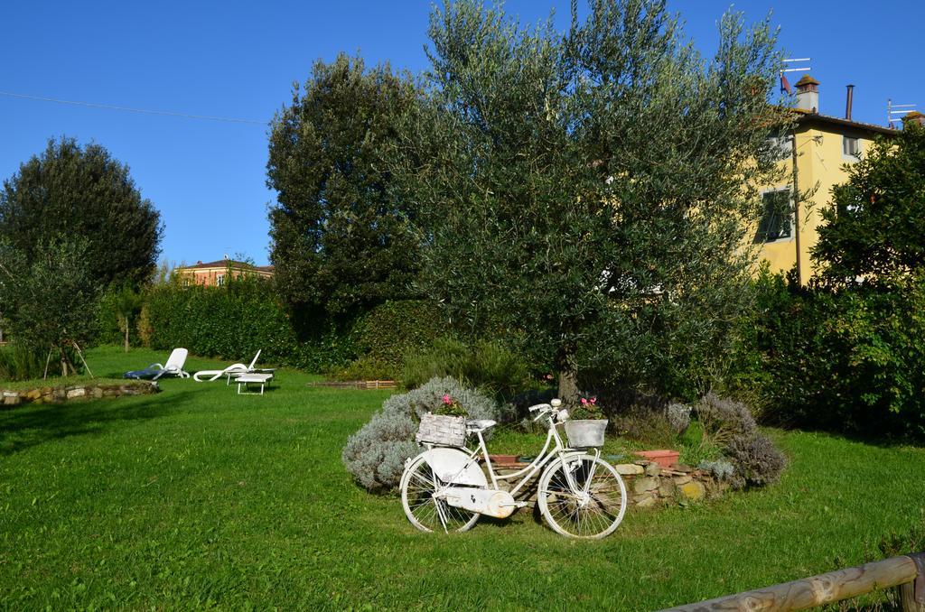 Agriturismo Al Podere Di Rosa Лукка Екстер'єр фото